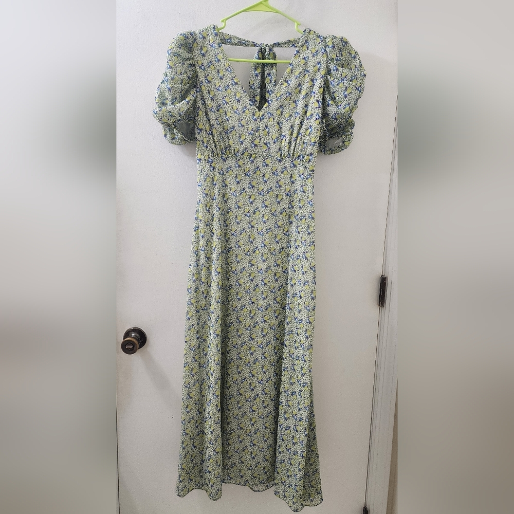 Exquise Floral Puff-Sleeve Maxi‎ Dress in Light Green and Blue, Size Small.